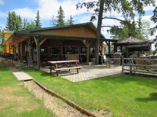 Photo 14: 342042  Range Road 44: Rural Clearwater County Detached for sale : MLS®# C4295944
