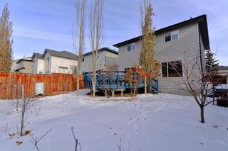 Photo 3: 206 Citadel Estates Heights NW in Calgary: Citadel Detached for sale : MLS®# A2032167