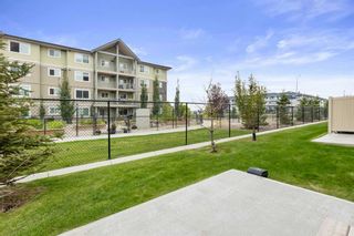 Photo 26: 102 Skyview Ranch Grove NE in Calgary: Skyview Ranch Row/Townhouse for sale : MLS®# A2078059