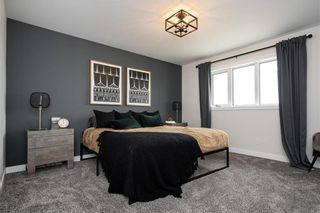 Photo 13: 31 Sheilagh Ball Cove in Winnipeg: Devonshire Park Residential for sale (3K)  : MLS®# 202314424
