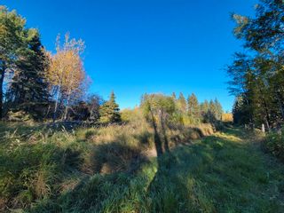 Photo 12: NW-4-67-19-4 , Boyle (Alpac): Rural Athabasca County Rural Land/Vacant Lot for sale : MLS®# E4264461