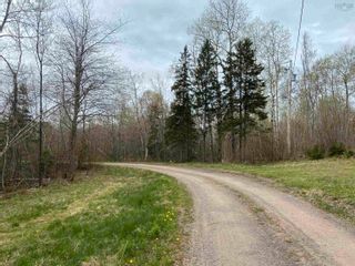 Photo 3: 6401 Highway 4 in Linacy: 108-Rural Pictou County Residential for sale (Northern Region)  : MLS®# 202210534