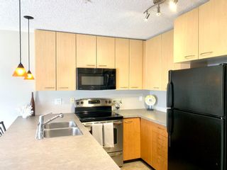 Photo 14: 317 5115 Richard Road SW in Calgary: Lincoln Park Apartment for sale : MLS®# A1179249