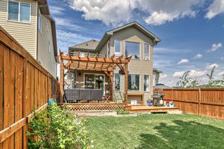 Photo 34: 69 Sage Hill Landing NW in Calgary: Sage Hill Detached for sale : MLS®# A2049339