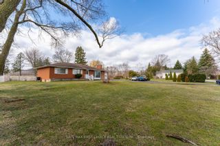 Photo 5: 7086 Tremaine Road in Milton: Nelson House (Bungalow) for sale : MLS®# W8148382
