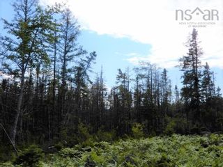 Photo 6: Battist Road in Sundridge: 108-Rural Pictou County Vacant Land for sale (Northern Region)  : MLS®# 202219334