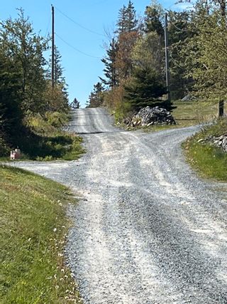 Photo 4: Lot AB Highway 7, Head Of Chezzetcook, Nova Scotia
