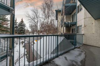 Photo 17: 209 11 Dover Point SE in Calgary: Dover Apartment for sale : MLS®# A2130019