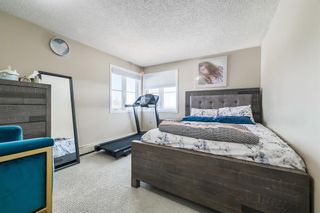 Photo 10: . 1814 Edenwold Heights NW in Calgary: Edgemont Apartment for sale : MLS®# A2036787