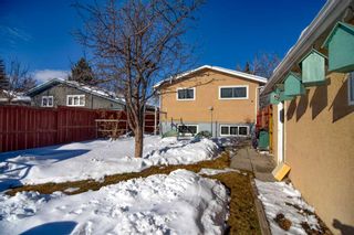 Photo 6: 3019 29A Street SE in Calgary: Dover Detached for sale : MLS®# A2117655