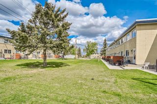 Photo 26: 309 2211 19 Street NE in Calgary: Vista Heights Row/Townhouse for sale : MLS®# A1222355
