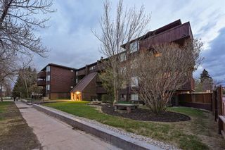 Photo 38: 405 8403 FAIRMOUNT Drive SE in Calgary: Acadia Apartment for sale : MLS®# A2054007
