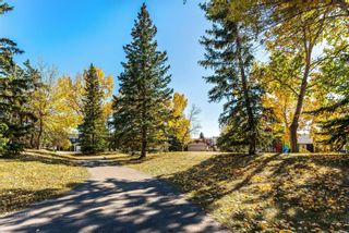 Photo 48: 84 WOODBROOK Close SW in Calgary: Woodbine Detached for sale : MLS®# A1037845