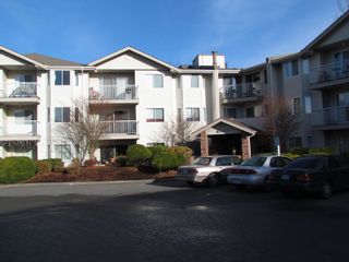Photo 9: 210 2780 WARE Street in ABBOTSFORD: Central Abbotsford Condo for rent (Abbotsford) 