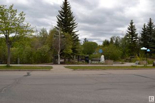 Photo 31: 1412 GOODSPEED Lane in Edmonton: Zone 58 House for sale : MLS®# E4390352