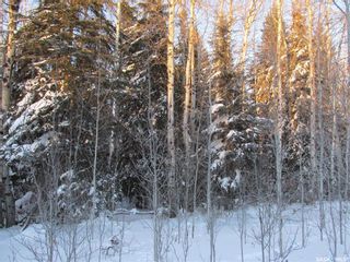 Photo 21: Recreational Land North-East of White Fox in Torch River: Lot/Land for sale (Torch River Rm No. 488)  : MLS®# SK909033