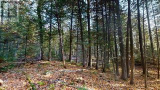 Photo 13: 6 Sandy Point in Manitowaning: Vacant Land for sale : MLS®# 2112427