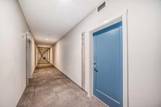 Photo 6: 405 200 Shawnee Square SW in Calgary: Shawnee Slopes Apartment for sale : MLS®# A2118736