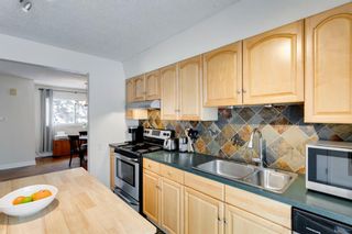 Photo 18: 4232 5 Avenue SW in Calgary: Wildwood Detached for sale : MLS®# A2021489