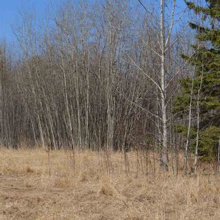 Photo 15: 514 54411 RR 40: Rural Lac Ste. Anne County Rural Land/Vacant Lot for sale : MLS®# E4239941