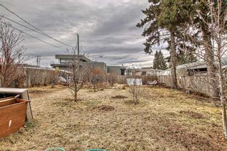 Photo 31: 8611 47 Avenue NW in Calgary: Bowness Detached for sale : MLS®# A2095853