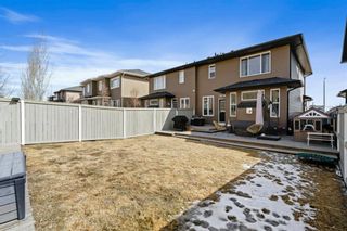 Photo 42: 156 Evanswood Circle NW in Calgary: Evanston Semi Detached for sale : MLS®# A1196612