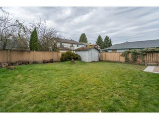 Photo 20: 9197 212A Place in Langley: Walnut Grove House for sale : MLS®# R2246597