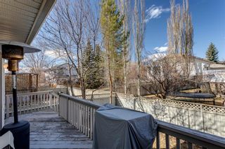 Photo 46: 238 Mt Douglas Court SE in Calgary: McKenzie Lake Detached for sale : MLS®# A1093019
