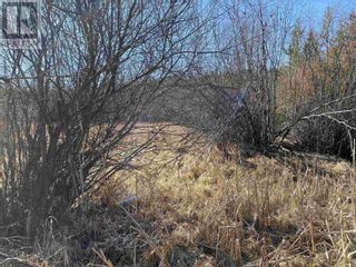 Photo 12: Lot B LONE BUTTE HORSE LAKE ROAD in 100 Mile House: Vacant Land for sale : MLS®# R2870362