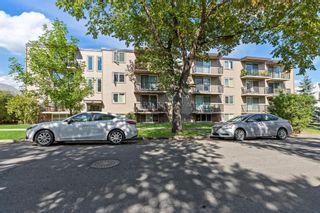 Photo 22: 201 310 4 Avenue NE in Calgary: Crescent Heights Apartment for sale : MLS®# A1233700