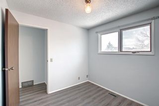 Photo 23: 4531 43 Street NE in Calgary: Whitehorn Detached for sale : MLS®# A1209196
