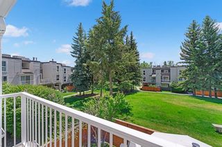 Photo 31: 209 13104 Elbow Drive SW in Calgary: Canyon Meadows Row/Townhouse for sale : MLS®# A2145302