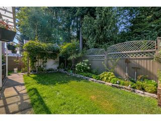Photo 31: 12677 61B Avenue in Surrey: Panorama Ridge House for sale : MLS®# R2599969