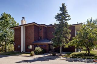 Photo 26: 3311 393 Patterson Hill SW in Calgary: Patterson Apartment for sale : MLS®# A1252666