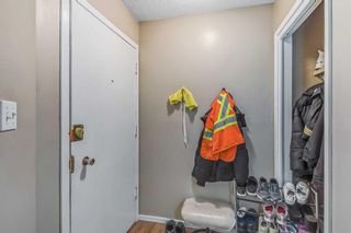 Photo 20: 6313 & 6315 Tregillus Street NW in Calgary: Huntington Hills Full Duplex for sale : MLS®# A2094411