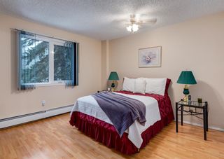 Photo 16: 208 816 89 Avenue SW in Calgary: Haysboro Apartment for sale : MLS®# A2013027