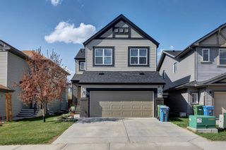 Photo 1: 20 Copperpond Gardens SE in Calgary: Copperfield Detached for sale : MLS®# A2051464