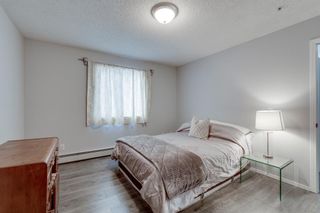 Photo 17: 2119 6224 17 Avenue SE in Calgary: Red Carpet Apartment for sale : MLS®# A2011902