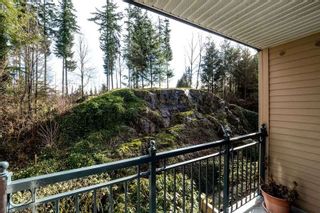 Photo 17: 206 1140 STRATHAVEN Drive in North Vancouver: Northlands Condo for sale in "STRATHAVEN" : MLS®# R2146417