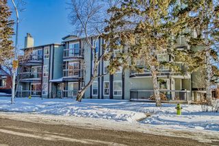 Photo 41: 301 205 5 Avenue NE in Calgary: Crescent Heights Apartment for sale : MLS®# A2034075