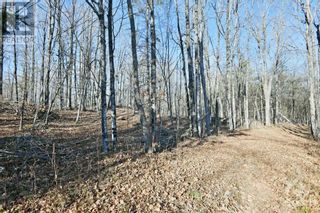 Photo 4: Lot 1 BLUE HERON ROAD in Carleton Place: Vacant Land for sale : MLS®# 1321248
