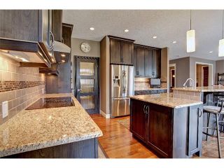 Photo 12: 384 TUSCANY ESTATES Rise NW in Calgary: Tuscany House for sale : MLS®# C4014226