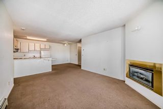 Photo 17: 32 3000 Edenwold Heights NW in Calgary: Edgemont Apartment for sale : MLS®# A2130742