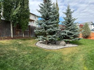Photo 34: 25 Panamount Rise NW in Calgary: Panorama Hills Detached for sale : MLS®# A2130885