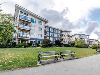 Photo 16: 204 23255 BILLY BROWN Road in Langley: Fort Langley Condo for sale in "The Village at Bedford Landing" : MLS®# R2404163