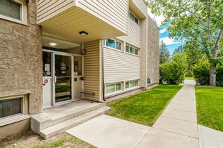 Photo 3: 209 8231 Elbow Drive SW in Calgary: Chinook Park Apartment for sale : MLS®# A1241173