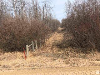 Photo 6: A 50463 Rge Rd 222 A: Rural Leduc County Vacant Lot/Land for sale : MLS®# E4382348