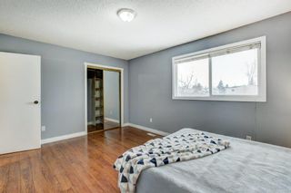 Photo 16: 28 Falmead Place NE in Calgary: Falconridge Semi Detached (Half Duplex) for sale : MLS®# A2011357