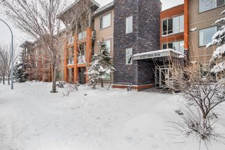 Photo 50: 339 2727 28 Avenue SE in Calgary: Dover Apartment for sale : MLS®# A2031901