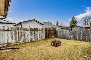 Photo 17: 13 Spring Haven Crescent SE: Airdrie Detached for sale : MLS®# A1164961